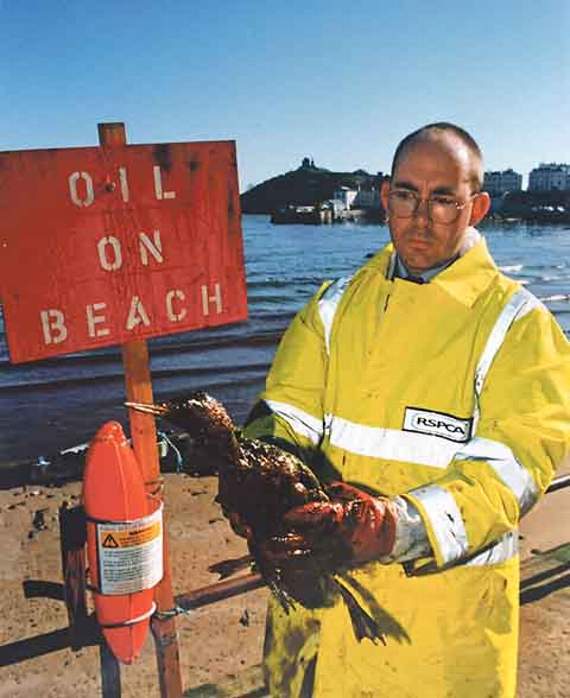 30 years on: RSPCA reflects on Sea Empress oil spill rescue