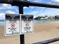 Pembrokeshire councillor labels beach dog bans 'overly punitive'