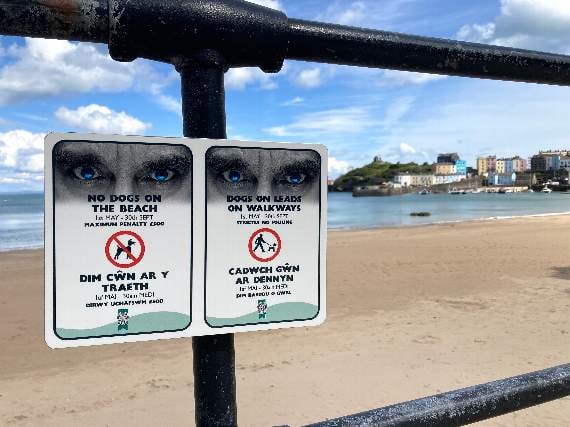 Pembrokeshire councillor labels beach dog bans 'overly punitive'
