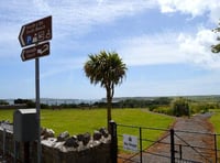 New Year, Petanque in Tenby, science fiction, films and Warm Spaces