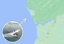Welsh fisherman’s close encounter with a shark