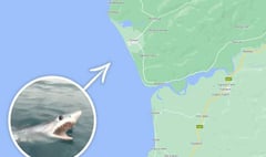 Welsh fisherman’s close encounter with a shark