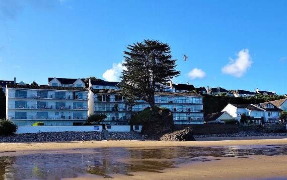 Update on Saundersfoot's imperious 'lonely tree'