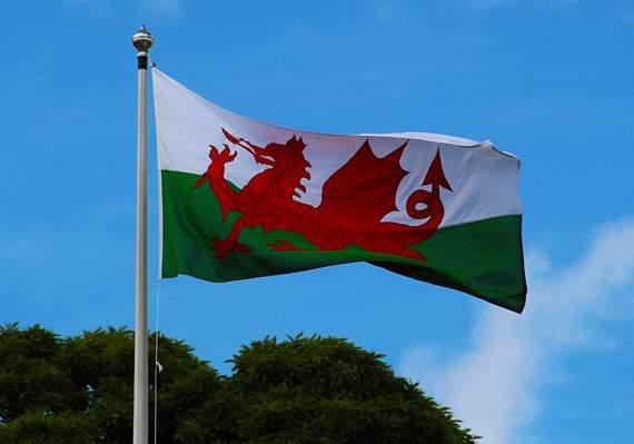 Flag