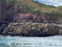 Marine conservation area ‘vital’ to Tenby’s future