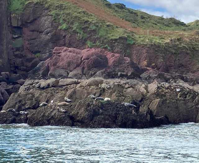 Marine conservation area ‘vital’ to Tenby’s future