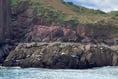 Marine conservation area ‘vital’ to Tenby’s future