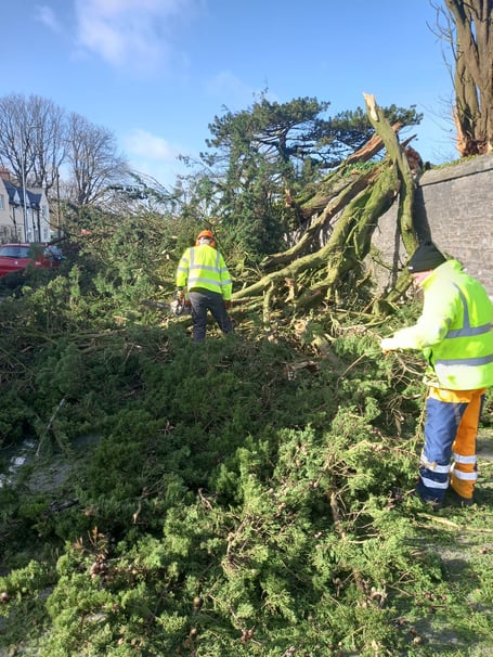 Tree damage clearance along Catalina Avenue, Pembroke Dock