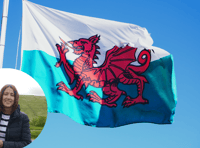 'Rural Wales at risk of being left behind'