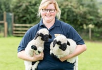 Folly Farmer is a winner at the Lantra Cymru Awards