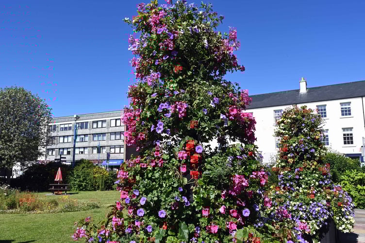 Saundersfoot gardens