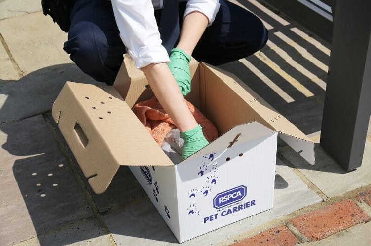 RSPCA volunteer