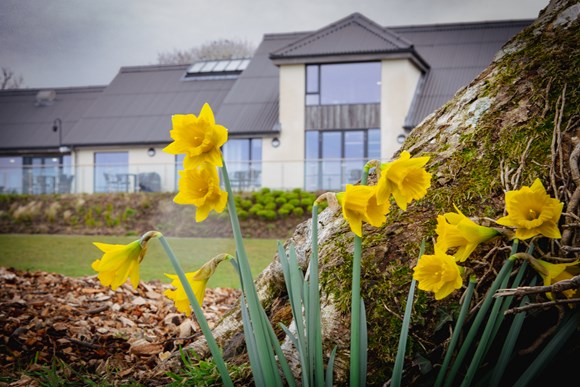 Llys y Frân in spring