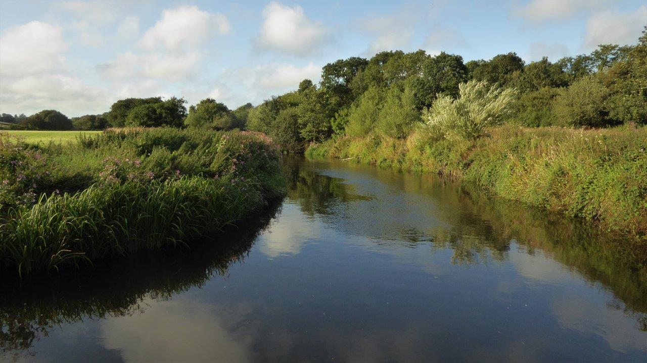 Pembrokeshire clean water campaigners to run the length of the Cleddau River