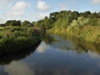 Failures in the Cleddau - likely due to a range of pollution sources