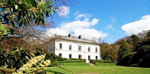 Pembrokeshire lichen group launches on November 23