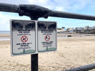 Calls for dogs to be kept on leads on walkways all year round