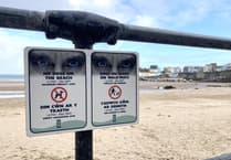 Will there be a rethink over Pembrokeshire's dog beach restrictions?