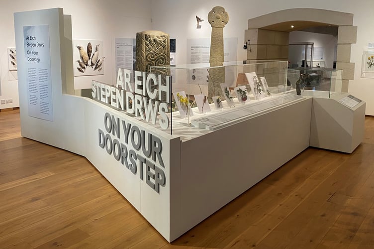 Oriel y Parc On Your Doorstep exhibition