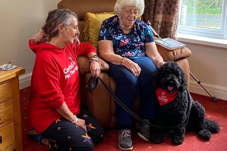 Cariad Pet Therapy Louise and Idris visiting Marion on a home visit