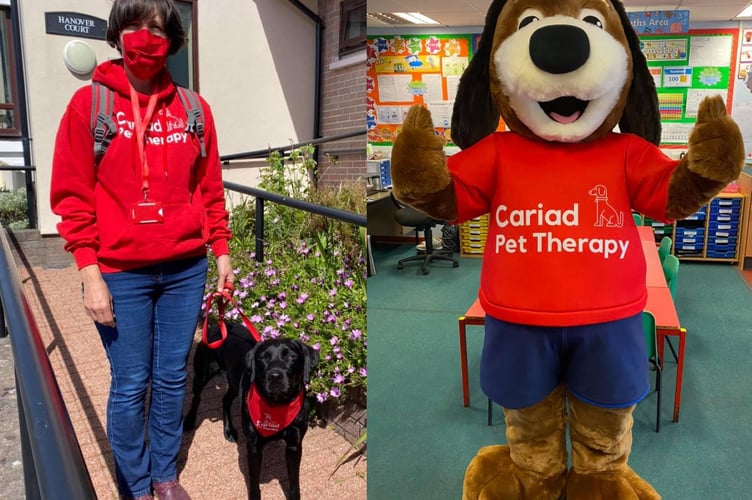 Cariad Pet Therapy medley