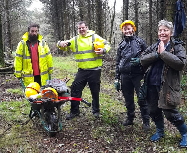 Welcome to the Woods