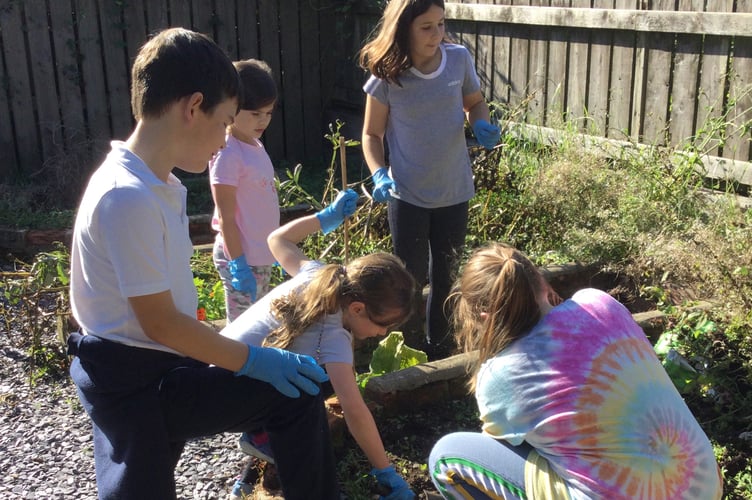 Children gardening
