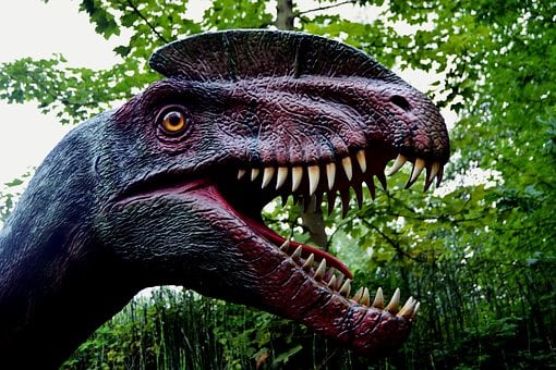 Dinosaur park