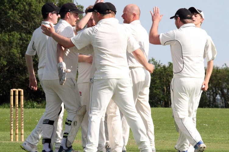 Cricket