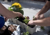 Council staff make a difference through volunteering
