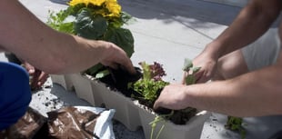 Council staff make a difference through volunteering