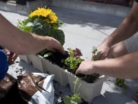 Council staff make a difference through volunteering