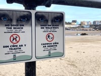 Suggestion to alter ‘dog beach ban’ times for Tenby touted