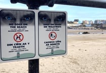 Councillors request change on dog beach ban restrictions in Tenby