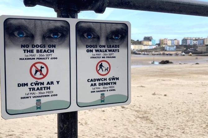 Dogs on beaches sign