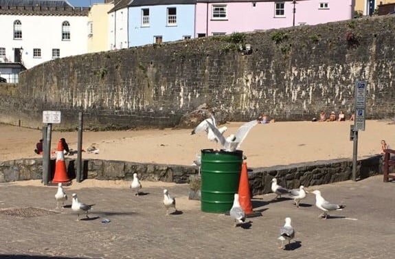 Tenby harbour