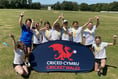 Success for Tenby and Stepaside schools at cricket 