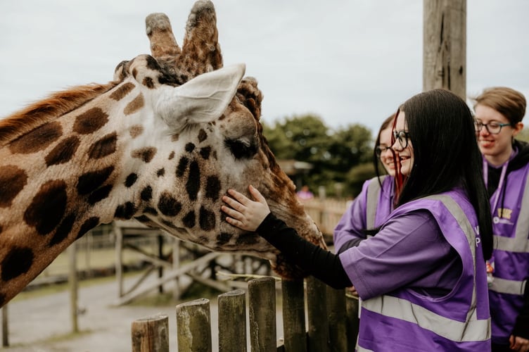 Folly Farm