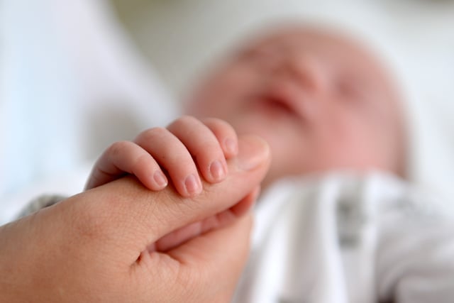 Fertility rate rises in Pembrokeshire