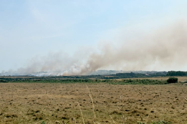 St Davids grass fire