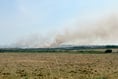 Major grassfire spreads on the outskirts of St Davids