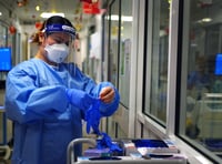 Three more deaths recorded in Carmarthenshire