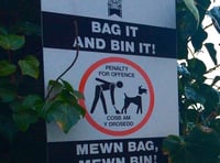 Over 100 dog fouling fines issued in Wales, totalling almost £8,000