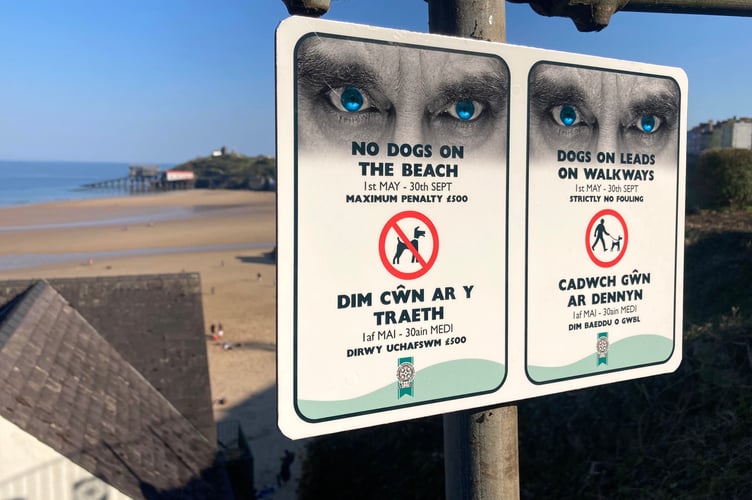 Dog beach ban