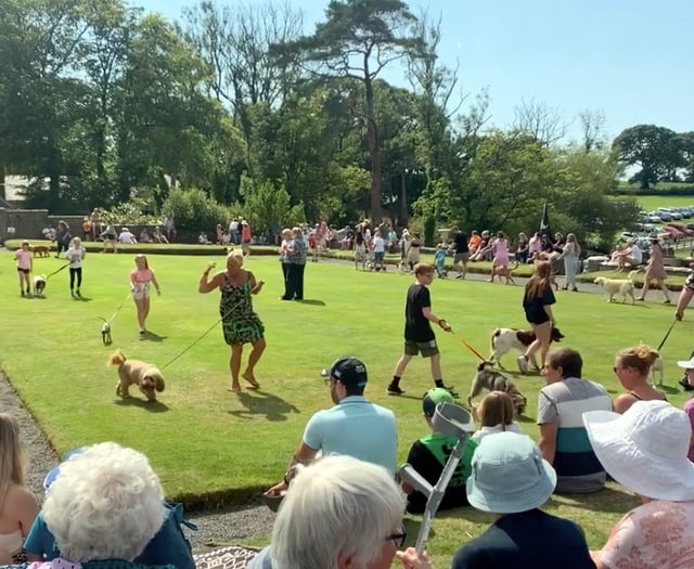 Cresselly Country Fayre is news to set tails wagging
