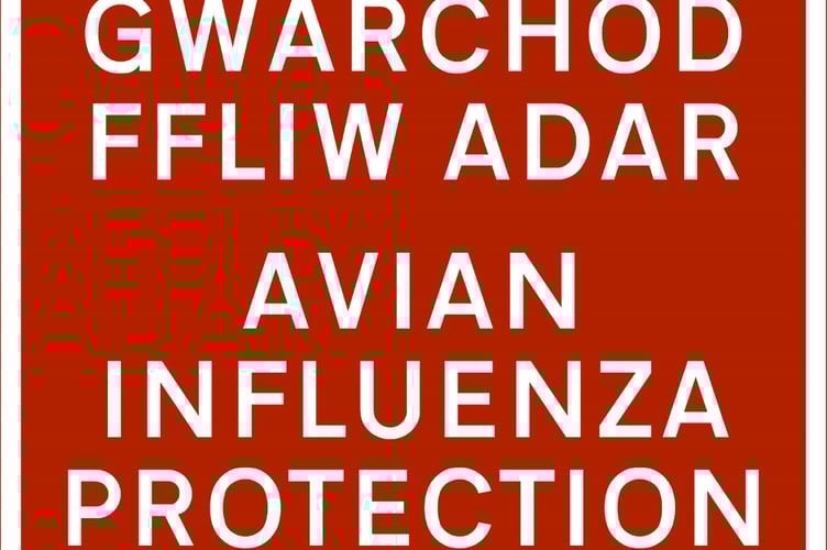 Avian Influenza warning