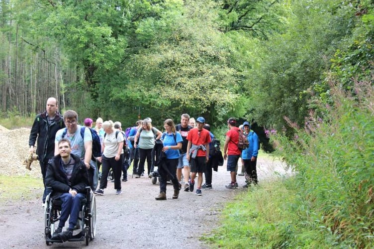 Woodland walk