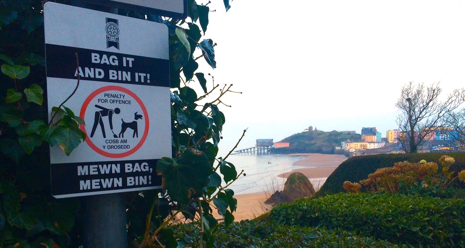 Pembrokeshire Council ranks 8th in UK dog poo complaints
