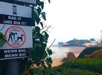 Pembrokeshire Council ranks 8th in UK dog poo complaints