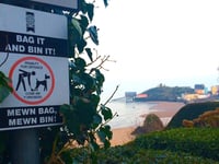 Tenby councillors discuss ongoing dog fouling issues